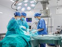 Trapianto di tessuto dell'ovaio su donna sterile, primo in Lombardia (ANSA)