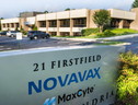 Ue, prime consegne vaccino Novavax attese dal 21 febbraio (ANSA)
