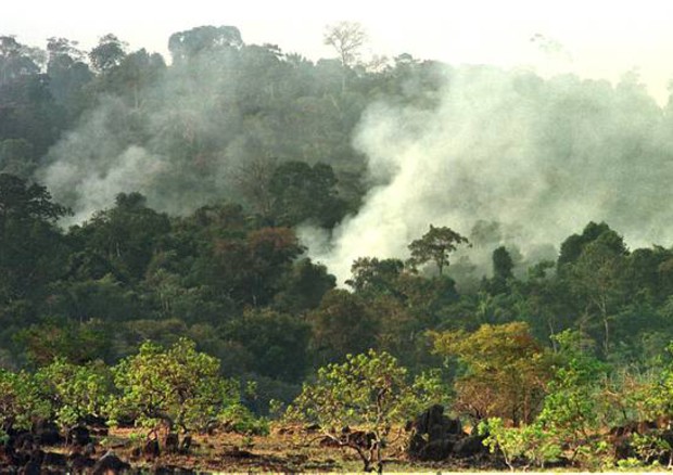 Incendio in Amazzonia © ANSA 