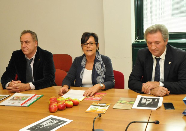 Casini (Marche), Patto Verde Ue chiave per territori e agricoltura © ANSA
