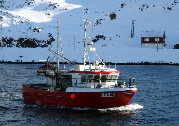 Via libera dal Consiglio Ue per l'adesione all'accordo per prevenire la pesca non regolamentata nel mar glaciale Artico © Ansa