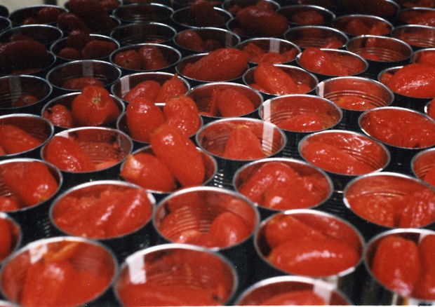 Pomodoro, l'export verso gli Usa cresce del 5,4% (fonte: Anicav) © ANSA