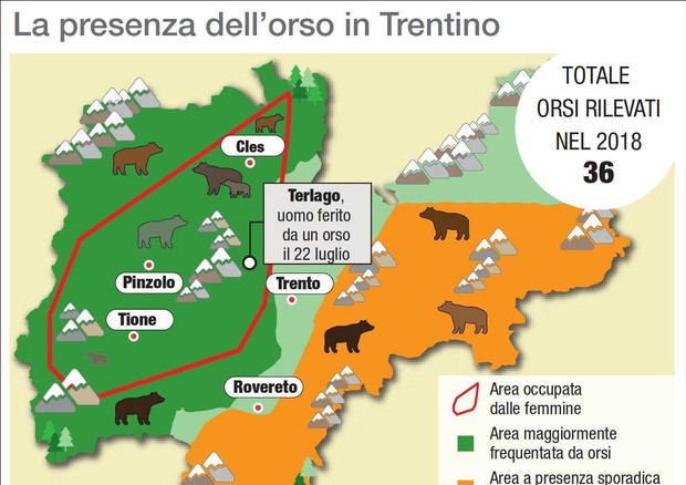 La grafica mostra la presenza dell'orso nella Provincia di Trento © ANSA