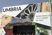 Cecchini: il vino promuove l'Umbria nel mondo