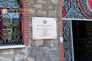 138 pitoni sequestrati da Gdf e Dogane in porto Ancona