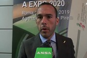 Expo Dubai 2020, Di Stefano: 'Grande opportunita' per l'Italia'