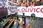 Olio, a Roma la protesta dei gilet arancioni
