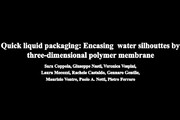 Il materiale che dà forma ll'acqua (fonte: Cnr-Isasi, Cnr-Ipcb, e Cabhc-Iit) 