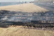 Catania, domato l'incendio sul litorale della Plaia