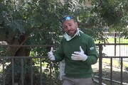 Coronavirus, lo zoo di Napoli lancia una campagna di sostegno