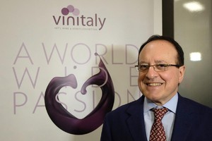 Il  direttore generale di Veronafiere Giovanni Mantovani (ANSA)