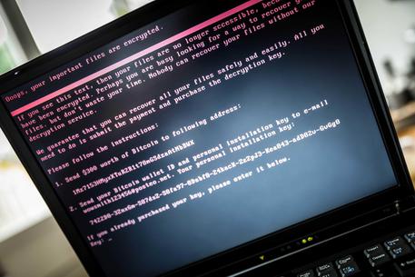 Cybercrime, danno di 6,7 mln dollari a imprese italiane © EPA