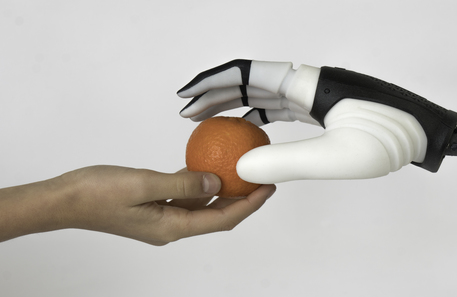 Le prime regole per l'interazione fra esseri umani e robot basate sull'analisi di gesti semplici (fonte: Scuola Superiore Sant'Anna) © Ansa