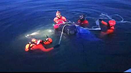 Montesilvano (Pescara) - recupero cadavere trovato ieri sera in mare da un diportista al largo di Montesilvano (Pe) © ANSA