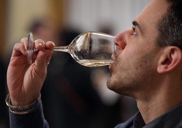 In Usa momento d'oro per il vino, 65% lo beve (foto: ANSA)