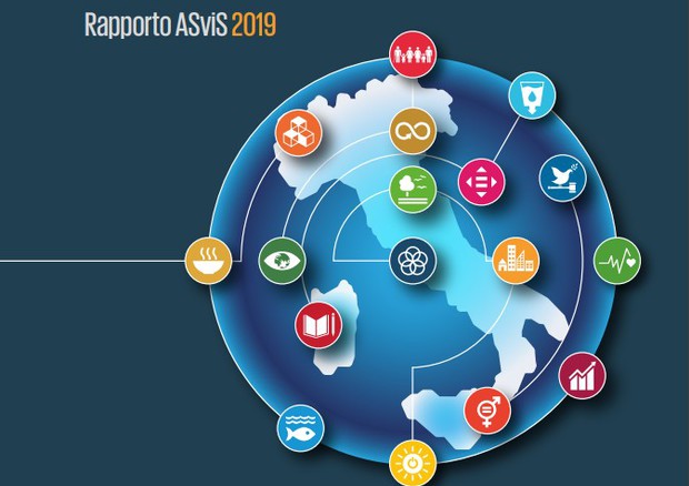 Rapporto AsVIS 2019 © Ansa