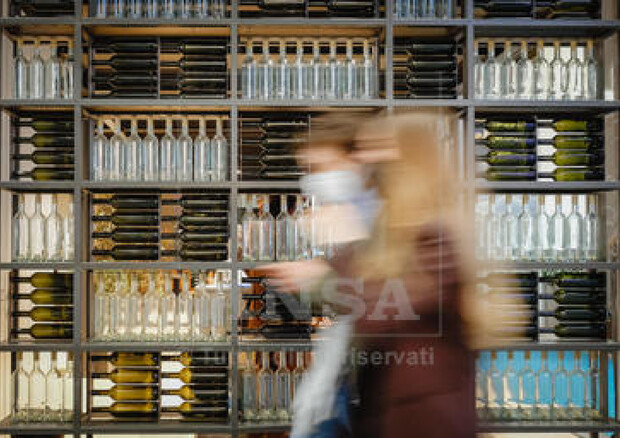 Ecco il Vintaly dei record, a Verona tutto il mondo del vino © ANSA