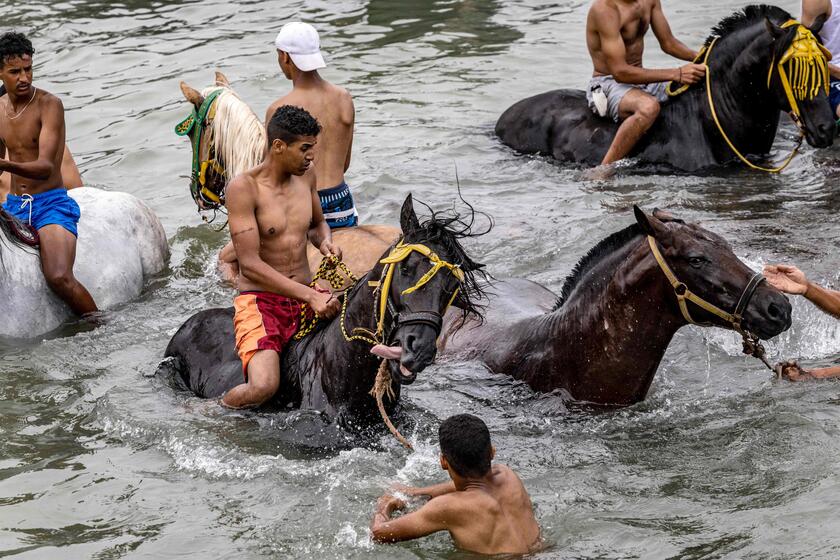Cavalieri della Fantasia cavalcano nell 'oceano Atlantico © ANSA/AFP