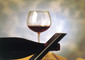 In Usa i vini italiani più conosciuti dopo i californiani © 