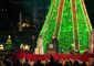Trump e Melania accendono l'albero di Natale a Washington © ANSA