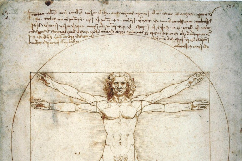 L 'Uomo Vitruviano di Leonardo da Vinci in mostra alle Galleria dell 'Accademia di Venezia - RIPRODUZIONE RISERVATA