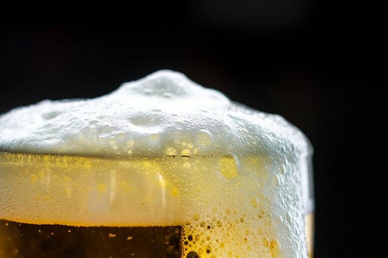 Birra di mare e di montagna, tendenza premiata dal mercato (Pexels) - RIPRODUZIONE RISERVATA