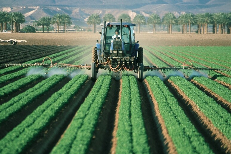 Le imprese agricole italiane hanno bisogno di una forte tutela in vista delle prossime scadenze in ambito europeo. E ' l 'appello lanciato dal presidente di Confagricoltura, Massimiliano Giansanti  (fonte: Pxhere) - RIPRODUZIONE RISERVATA