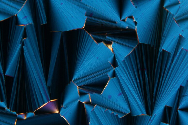 Cristalli liquidi formati da brevi filamenti di Rna (fonte: American Chemical Society) - RIPRODUZIONE RISERVATA