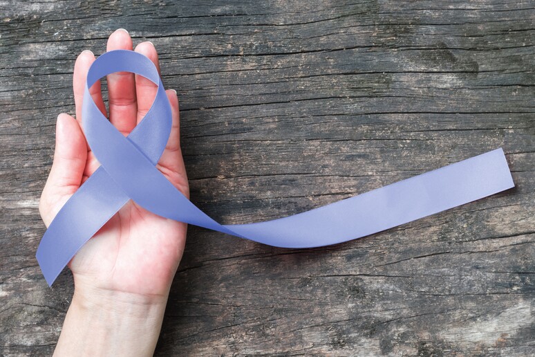 Il fiocco viola di solidarieta ' per chi soffre di tumore allo stomaco - RIPRODUZIONE RISERVATA