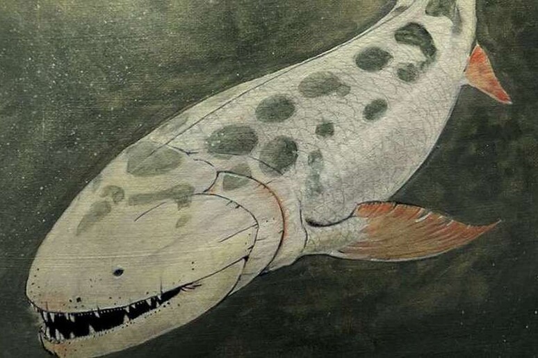 Rappresentazione artistica dell 'Hyneria lindae, il pesce vissuto 365 milioni di anni fa (fonte:  Jason Poole, Academy of Natural Sciences of Drexel University) - RIPRODUZIONE RISERVATA