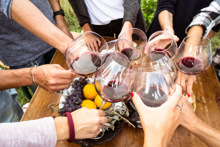 Vino rosso, tra gli stranieri cresce, secondo una ricerca, la richiesta di vino italiano biologico naturale. foto franckreporter iStock. - RIPRODUZIONE RISERVATA
