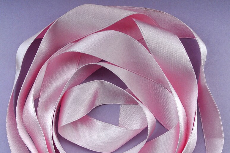 Il nastro rosa, simbolo della lotta al tumore al seno - RIPRODUZIONE RISERVATA