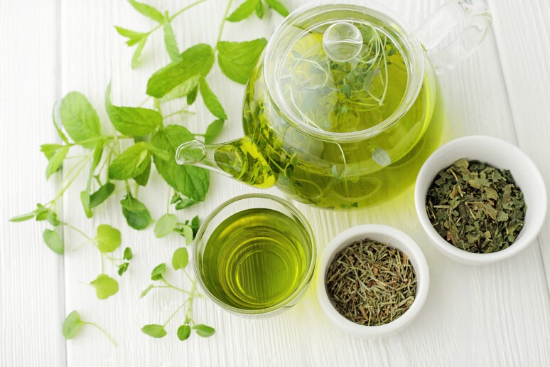 Nel tè verde un potenziale alleato per la salute del cuore - RIPRODUZIONE RISERVATA