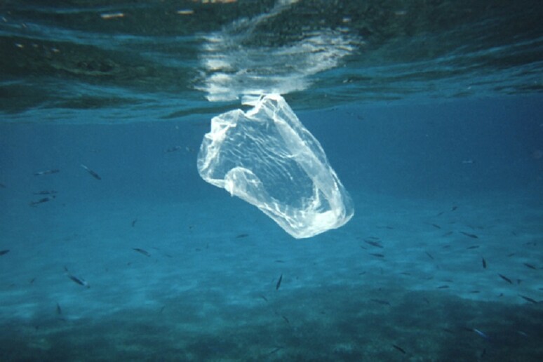 La plastica sta minacciando la salute dei mari (fonte: Ben Mierement, NOAA NOS) - RIPRODUZIONE RISERVATA