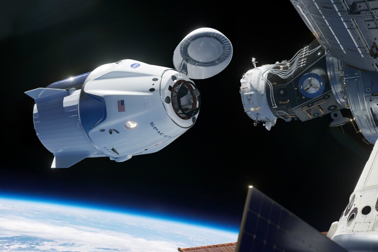 Rappresentazione artistica della navetta Crew Dragon della SpaceX (fonte: NASA) - RIPRODUZIONE RISERVATA
