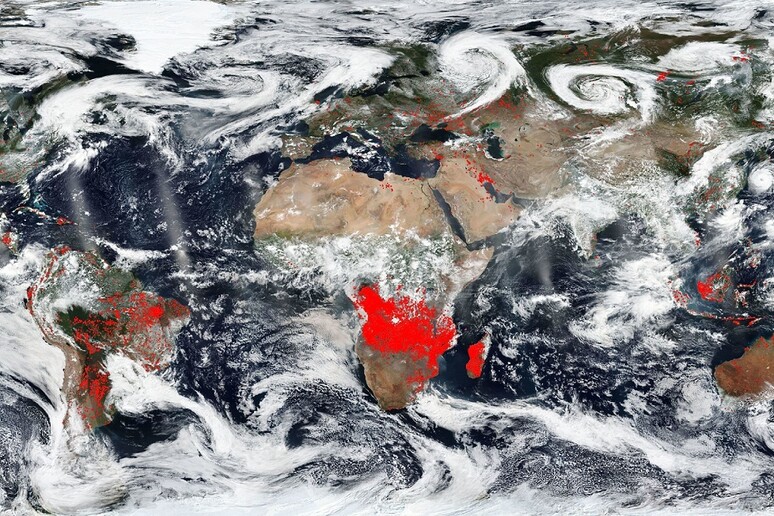 Gli incendi ripresi dai satelliti il 22 agosto (fonte: NASA Worldview, EOSDIS) - RIPRODUZIONE RISERVATA