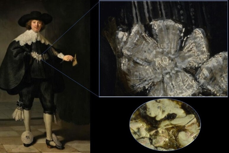 Il ritratto di  Marte Soolmans dipinto da Rembrandt  e, sulla destra, i particolari dei fiori (in alto) e dell 'impasto del colore (fonte: Susan Smelt, Petria Noble, Rijksmuseum) - RIPRODUZIONE RISERVATA