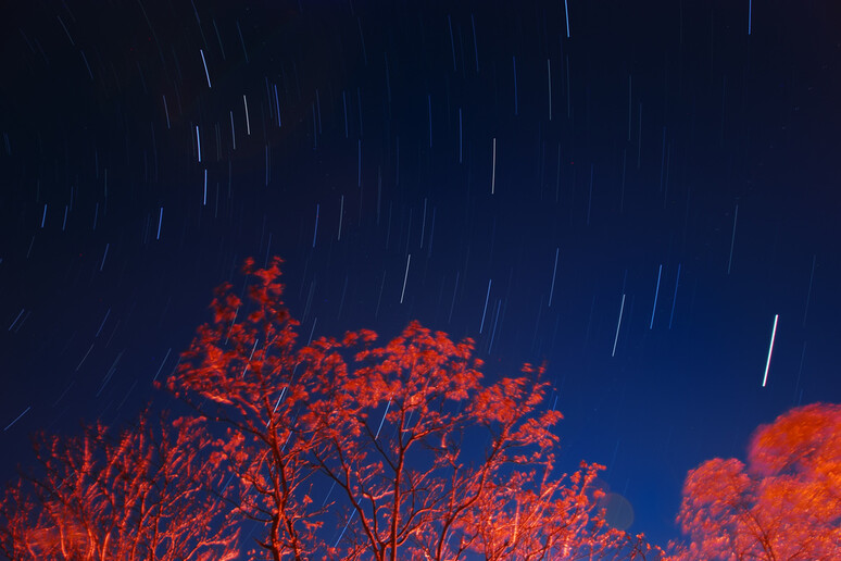 Pioggia di stelle cadenti (fonte: Emiliano Ricci, Flickr) - RIPRODUZIONE RISERVATA