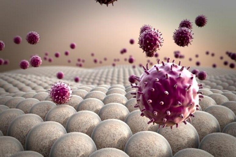 Rappresentazione grafica dei macrofagi, le cellule immunitarie che adesso è possibile rendere  'fameliche ' per combattere i tumori (fonte: Penn Medicine) - RIPRODUZIONE RISERVATA