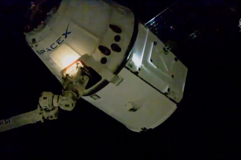 Il cargo Dragon agganciato alal Stazione Spaziale (fonte: NASA TV) - RIPRODUZIONE RISERVATA
