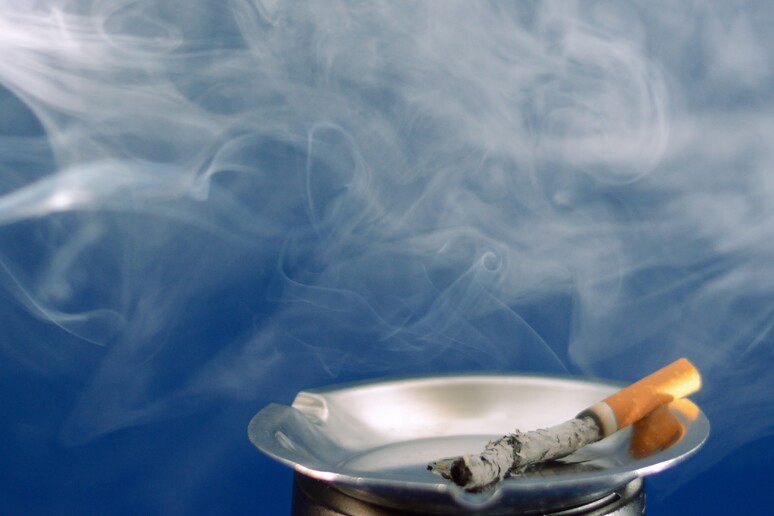 La ricerca ha coinvolto i fumatori di 17 Paesi - RIPRODUZIONE RISERVATA