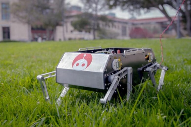 Prime passeggiate per il cane robot Stanford Doggo (fonte: Kurt Hickman/Stanford News Service) - RIPRODUZIONE RISERVATA