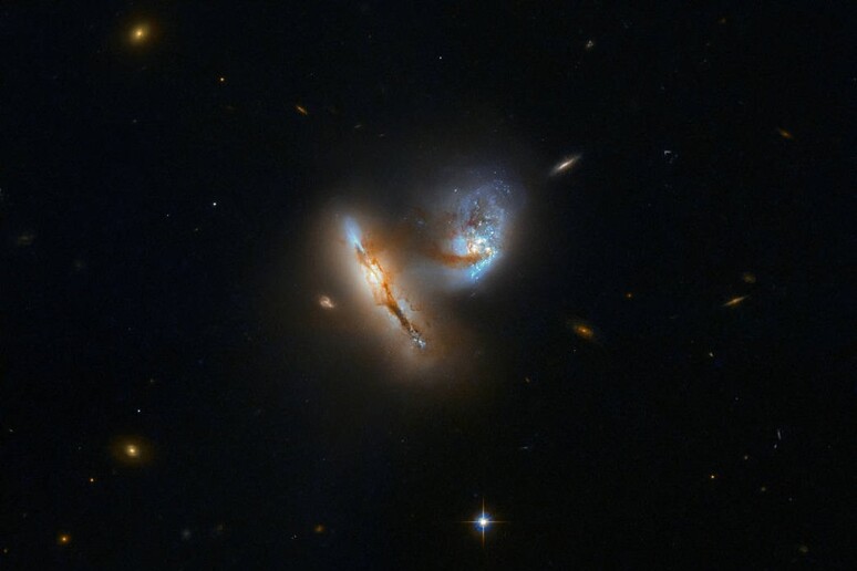 Il telescopio spaziale Hubble della Nasa ha immortalato la danza letale tra due galassie destinate a collidere, distanti 424 milioni di anni luce dalla Terra. (fonte: ESA/Hubble/NASA/A. Evans) - RIPRODUZIONE RISERVATA