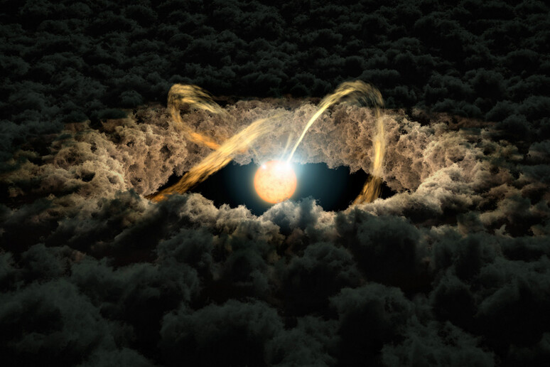 Rappresentazione artistica di un disco protoplanetario (fonte: NASA/JPL-Caltech) - RIPRODUZIONE RISERVATA