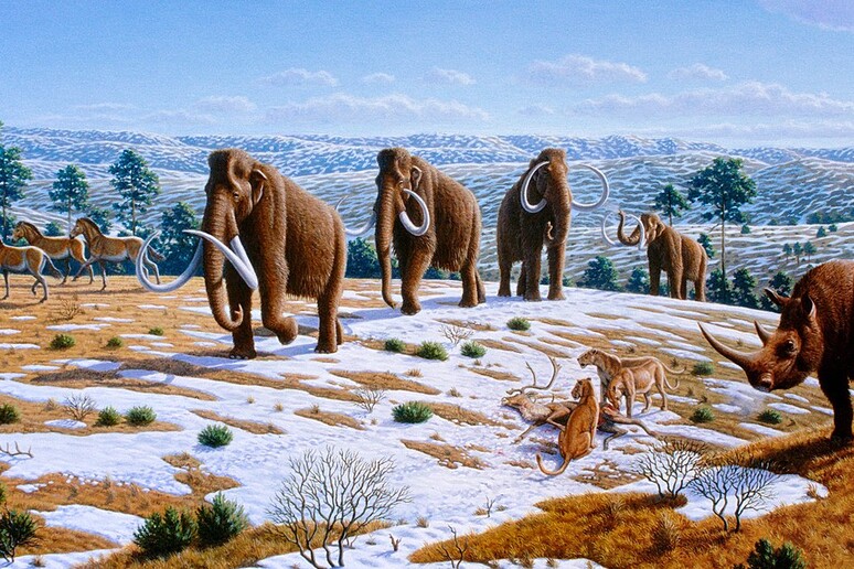 Ricostruzione artistica di paesaggio e fauna dell 'Era glaciale (fonte: Mauricio Antón) - RIPRODUZIONE RISERVATA