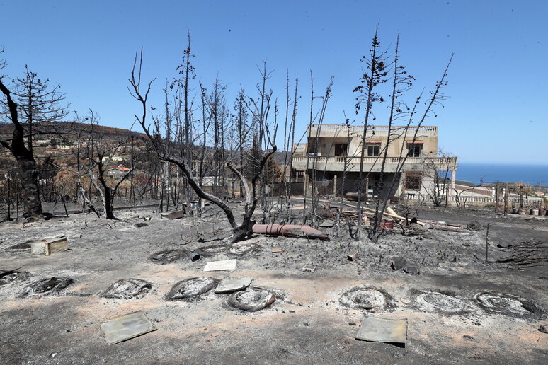 Un 'area naturale bruciata dopo un incendio vicino a Melloula in Tunisia © ANSA/EPA