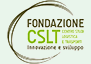 Fondazione C.S.L.T.