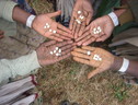 Nuove varietà di grano frutto dell'esperimento condotto in Etiopia e coordinato dall'Italia, basato sulla collaborazione fra contadini e genetisti (fonte: Scuola Superiore Sant'Anna) (ANSA)