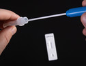 Un kit per il test antigenico rapido (fonte: Jernej Furman/ Flickr) (ANSA)