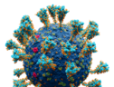 Modello atomico del virus SarsCoV2 (fonte: Alexey Solodovnikov (Idea, Producer, CG, Editor), Valeria Arkhipova (Scientific Сonsultant), da Wikipedia) (ANSA)
